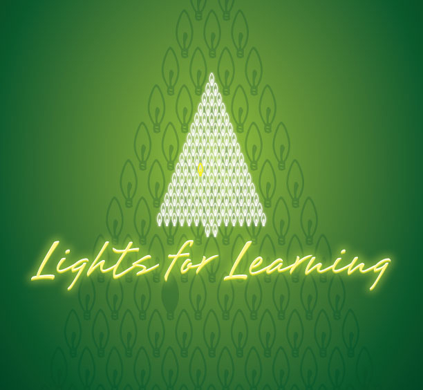 Lights for Learning